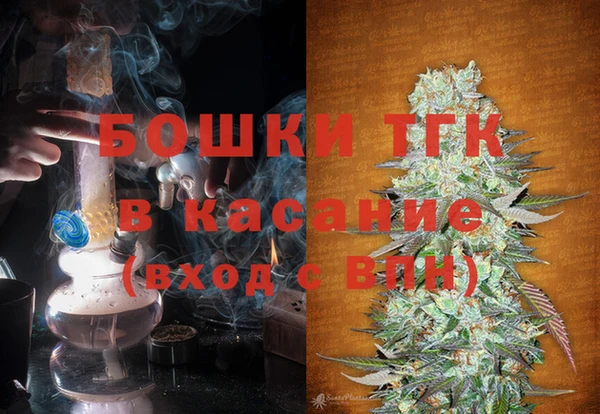 шишки Армянск
