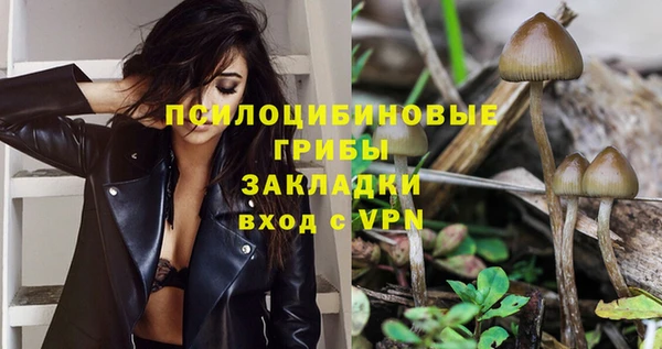 шишки Армянск