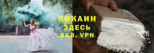 шишки Армянск