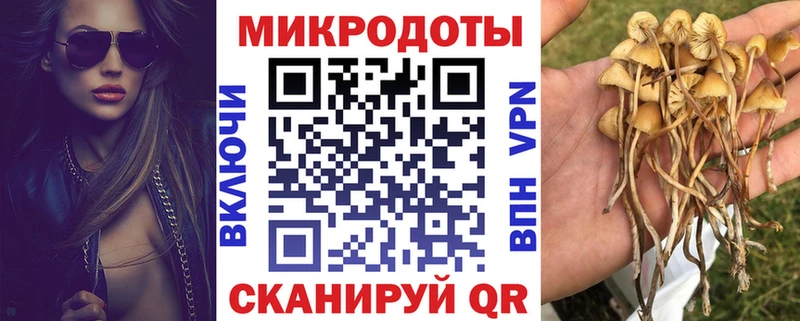 Псилоцибиновые грибы Magic Shrooms blacksprut как войти Самара цены наркотик